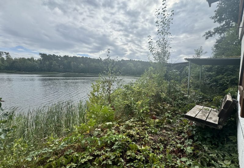 IMG_1231 Kopie 2 IMG_1231 Kopie 2