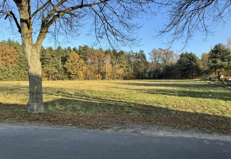 IMG_2215 Kopie IMG_2215 Kopie